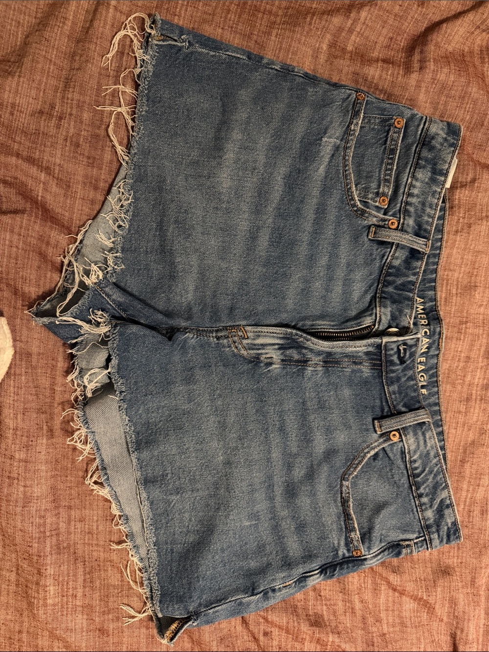 American Eagle Outfitters Distressed Blue Denim Cutoff Shorts